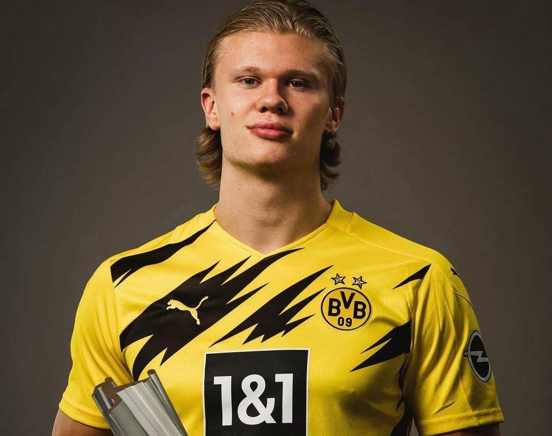 对精英以护 对精英以护